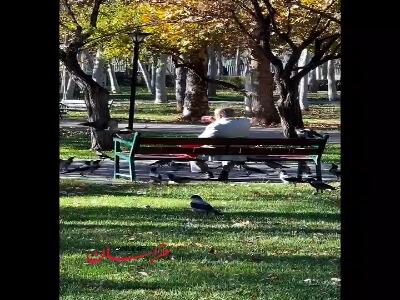  لحظه‌ای متفاوت در پارک ملت مشهد