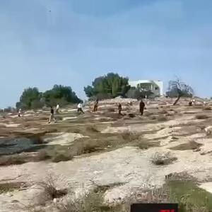  لحظه یورش شهرک‌نشینان اسرائیلی به جنوب کرانه باختری که به زخمی شدن دست کم 10 فلسطینی منجر شد