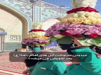  می‌دونستین سرنوشت گل‌های بالای ضریح امام رضا(ع) چی میشه؟