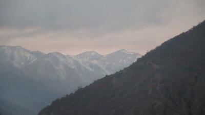  اولین تصاویر از الیت آرام و خاموش