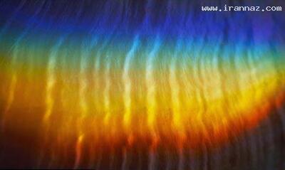  نگاه روز | زنی بسیار عجیب با قدرت بینایی فوق بشری! +عکس 🌟