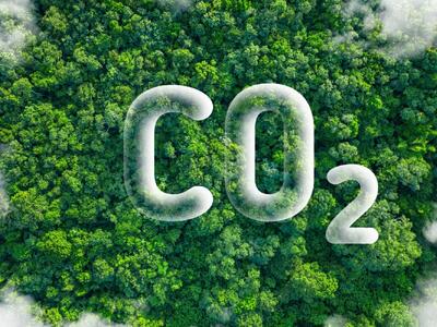  میزان دی اکسید کربن CO2 مناسب گلخانه چه مقدار است ؟