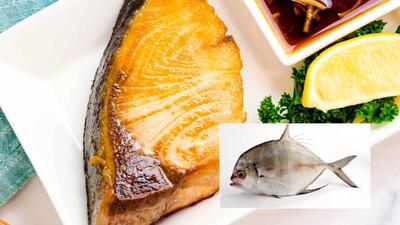  ۴ روش برتر برای پخت ماهی گیش