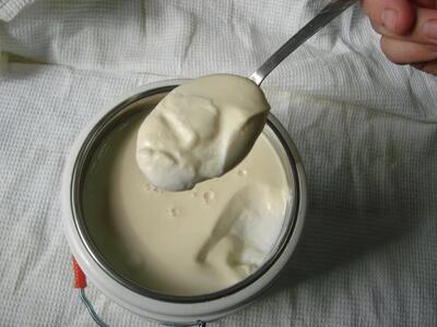  مقایسه دستگاه ماست بندی و روش سنتی: کدام روش بهتر است؟