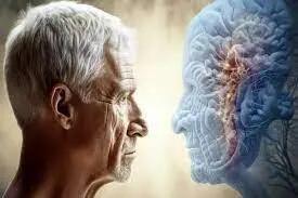  رژیم غذایی می‌تواند تا حدی ‌پیری مغز را معکوس کند