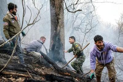  قاتل جنگل‌های هیرکانی دستگیر شد | اقتصاد24