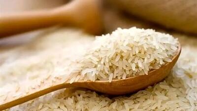  کمیاب شدن برنج پاکستانی؛ شوک جدید به سفره‌های ایرانی