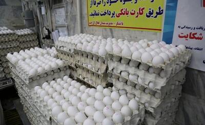  قیمت تخم مرغ افسار پاره کرد/ دانه‌ای ۸ هزار تومان؛ افزایش همچنان ادامه دارد؟