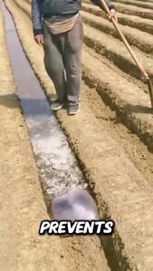  ترفند هوشمندانه کشاورزان چینی برای آبیاری زمین‌هایشان + فیلم