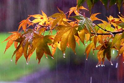  کاهش آلودگی هوا از دوشنبه/ آغاز بارش ها از سه شنبه