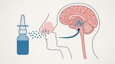  طراحی دارویی به صورت قطرهٔ بینی برای حذف تومورهای مغزی