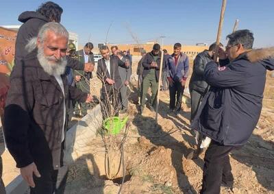  مدیرکل منابع طبیعی خراسان رضوی: طی ۲ سال گذشته ۴۰ میلیون نهال در خراسان رضوی تولید و کاشت شد