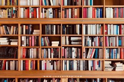  مدیرکل کتابخانه‌های عمومی استان: کتابخانه‌های قدیمی ایلام با تمرکز بر کودک و نوجوان بازسازی می‌شوند