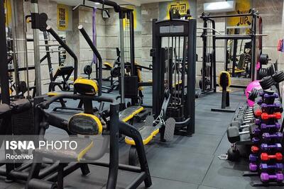  فعالیت ۳۰۰ باشگاه بدنسازی در سطح استان زنجان