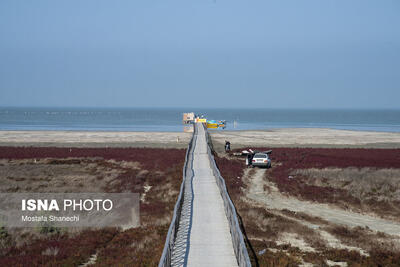  آخرین نفس‌های بزرگ‌ترین خلیج خزر