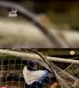  سرنوشت عجیب جیمی‌جامپ حماسه ملبورن بعد از ۲۷ سال