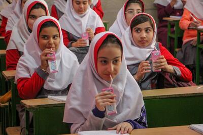  انجمن لبنیات: هیچ قراردادی با آموزش و پرورش برای شیر مدارس نداریم