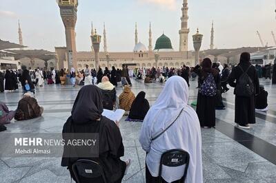  آغاز ثبت نام وام ۴۰ میلیون تومانی عمره دانشجویی