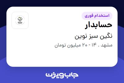  استخدام حسابدار - خانم در نگین سبز نوین