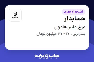  استخدام حسابدار - خانم در مرغ مادر هامون