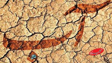  چهار ضعف ساختاری مدیریت آب ایران/ وزیر اسبق نیرو: مدیریت آب نیازمند صدای تمام‌وقت در دولت است/ ضرورت به رسمیت شناختن حوضه‌های آبریز - کلبه سرگرمی