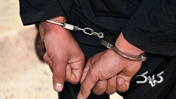  عامل آتش‌سوزی جنگل های هیرکانی دستگیر شد - مجله اینترنتی کولاک