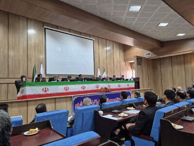  ولیدخت: بیکاری ریشه اصلی خودکشی در قوچان است