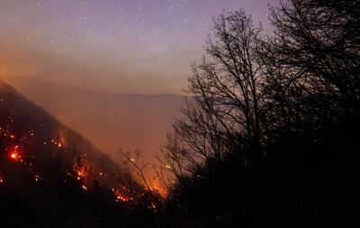  عامل آتش‌سوزی جنگل‌های هیرکانی در بابل دستگیر شد