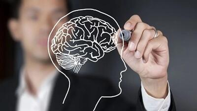  چگونه مغز جوان، عضلات قوی و بدن بدون چربی داشته باشیم؟