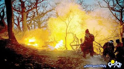  چه کسانی و با چه نیتی جنگل‌ها را عمدا آتش می‌زنند؟ ‍