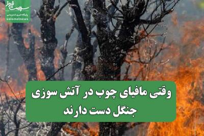  وقتی مافیای چوب در آتش سوزی جنگل دست دارند