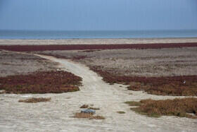  آخرین نفس‌های بزرگ‌ترین خلیج خزر