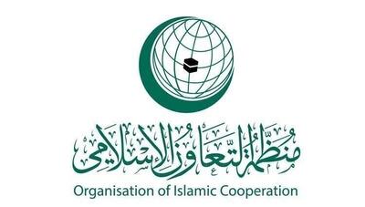  سازمان همکاری اسلامی حمله اسرائیل به حومه دمشق را محکوم کرد