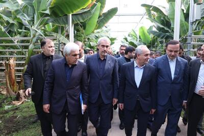  زیان ۲۰ میلیون دلاری مقابل چشم وزیر اقتصاد/ فاجعه‌ای که به نام «صادرات غیرنفتی» فاکتور می‌شود