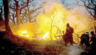  مافیای چوب پشت پرده آتش‌سوزی جنگل‌ها؟