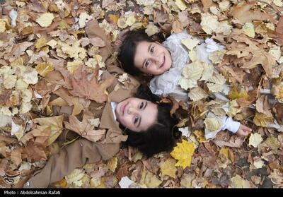  پایان پرشکوه جشن برگریزان هگمتانه با استقبال کم‌نظیر مردم فیلم - تسنیم