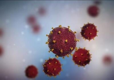  66 بیمار مبتلا به HIV در کاشان تحت درمان/برآورد وجود 180 بیمار در منطقه - تسنیم
