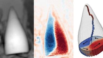 فسیل‌ مغناطیسی ۹۷ میلیون ساله با قابلیت GPS دانشمندان را شوکه کرد + ویدیو