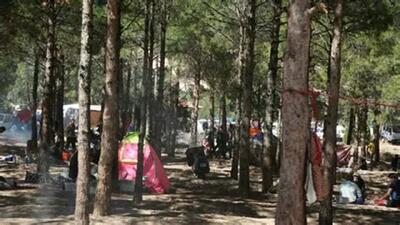  حال و هوای خوش گردشگران در بوستان جنگلی کردوانی آران و بیدگل + فیلم