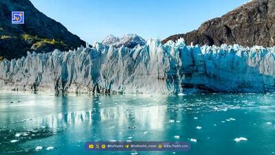  بازگشت از اعماق تاریخ؛ حیات ۴۰ هزار ساله در آلاسکا احیا شد