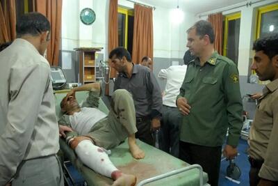  زخمی شدن و آسیب‌دیدگی 3 محیط‌بان کردستان در درگیری با شکارچیان غیرمجاز