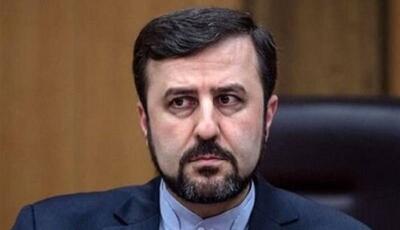  غریب‌آبادی: عدم صدور ویزا اقدامی غیرقانونی است