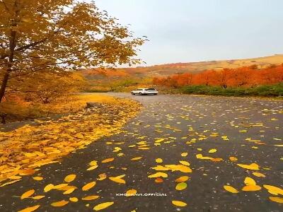  زیبایی پاییز در جاده‌های کردستان