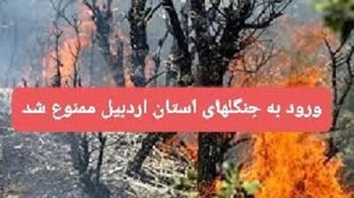  ورود به جنگل‌های استان اردبیل ممنوع شد