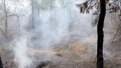  آتش‌افروز جنگل‌های هیرکانی دستگیر شد