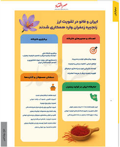  ایران و فائو در تقویت ارز زنجیره زعفران وارد همکاری شدند /اینفوگرافی