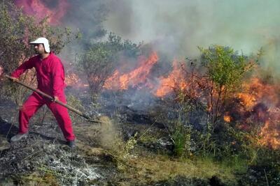  آتش‌سوزی سطحی در ۲۰ هکتار از جنگل های گیلان در سال جاری