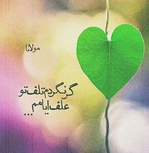  امروز با مولوی: گر نگردم تلفِ تو علف ایامم