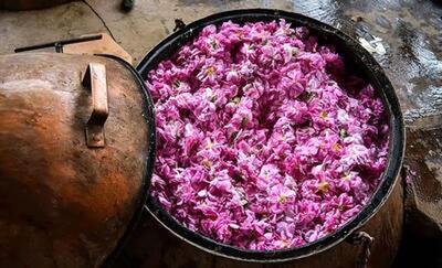  ثبت ملی یک جشنِ معطر در بانه