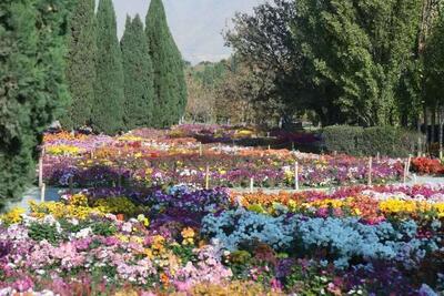  ۴ هزار گونه گیاهی در باغ گیاهشناسی ملی ایران نگهداری می‌شود